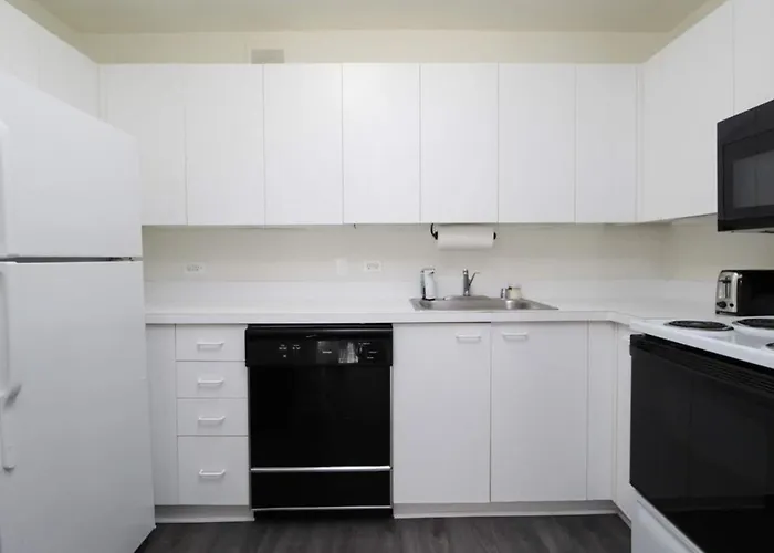Apartment Relaxed Hp 1br With Fast Transit To Uchicago & Dt By Zencity Chicago