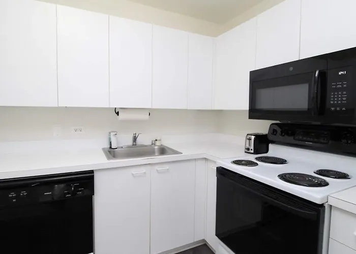 Relaxed Hp 1br With Fast Transit To Uchicago & Dt By Zencity Apartment *