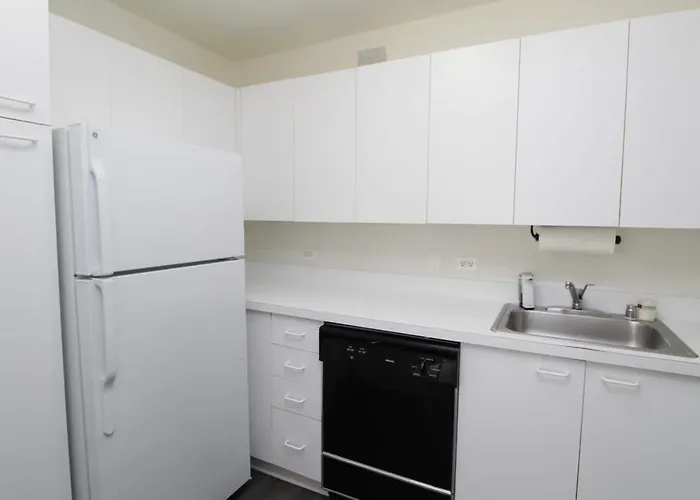 Relaxed Hp 1br With Fast Transit To Uchicago & Dt By Zencity Apartment Chicago